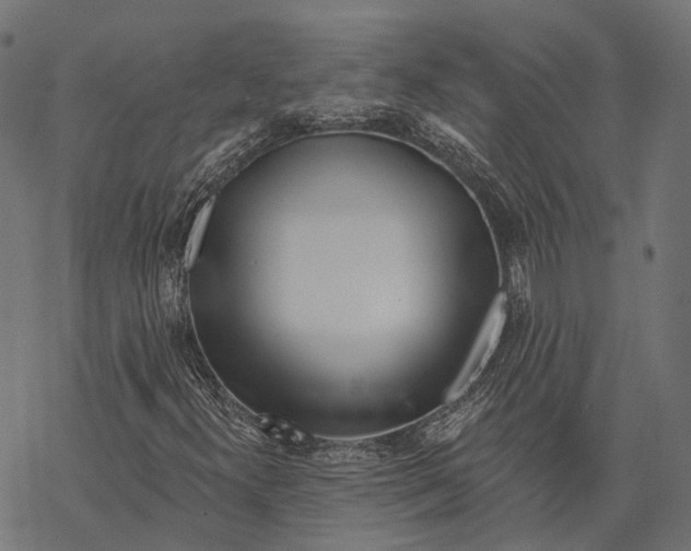 X0000067921300200605041658