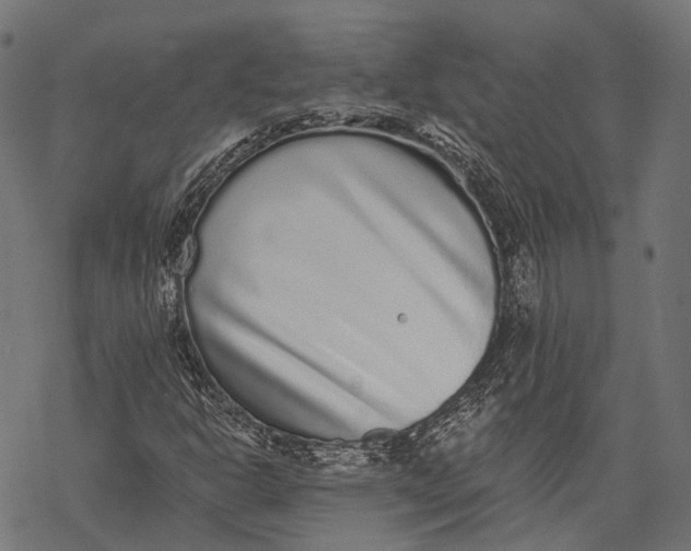 X0000067921302200605041658