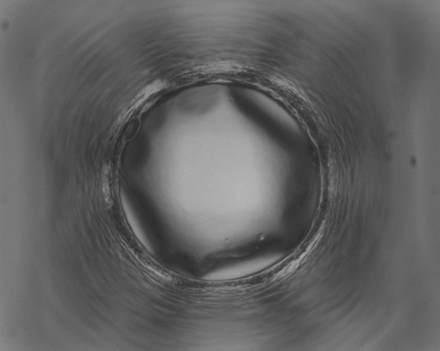 X0000067921305200605041659