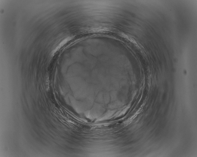 X0000067921306200605041659
