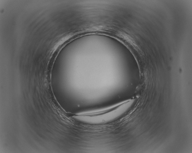X0000067921308200605041659