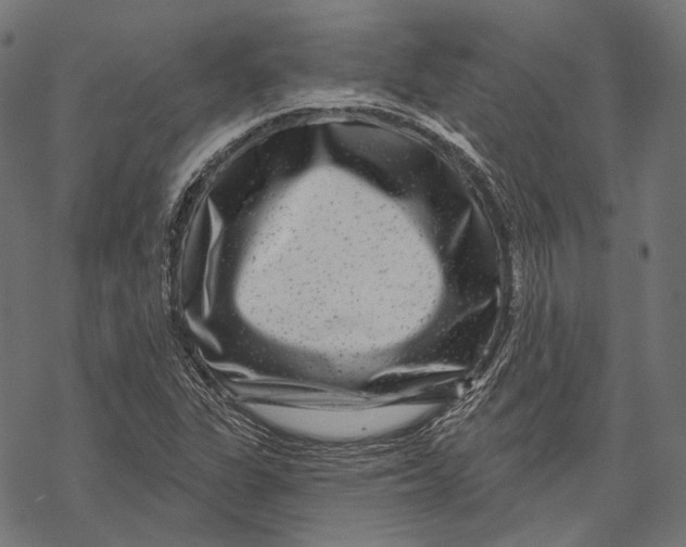 X0000067921311200605041659