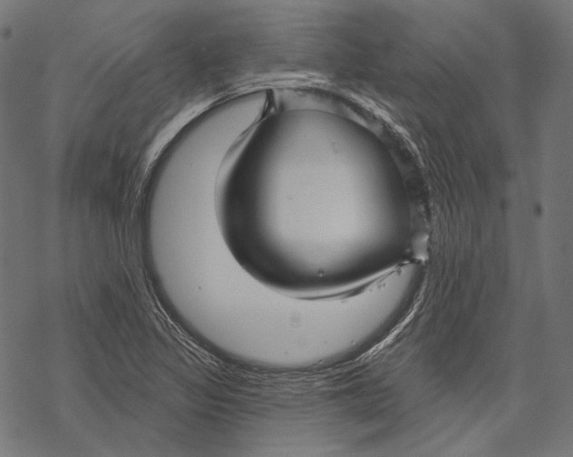 X0000067921317200605041659