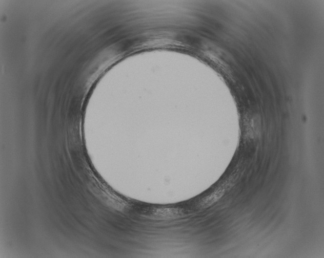 X0000067921322200605041659