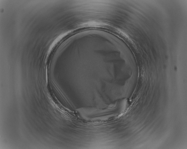 X0000067921323200605041659