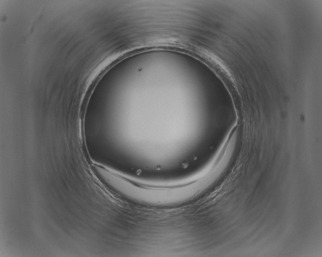 X0000067921324200605041659
