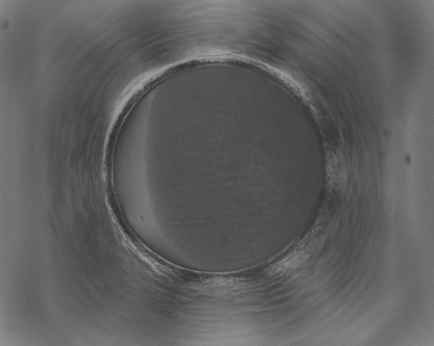 X0000067921327200605041659