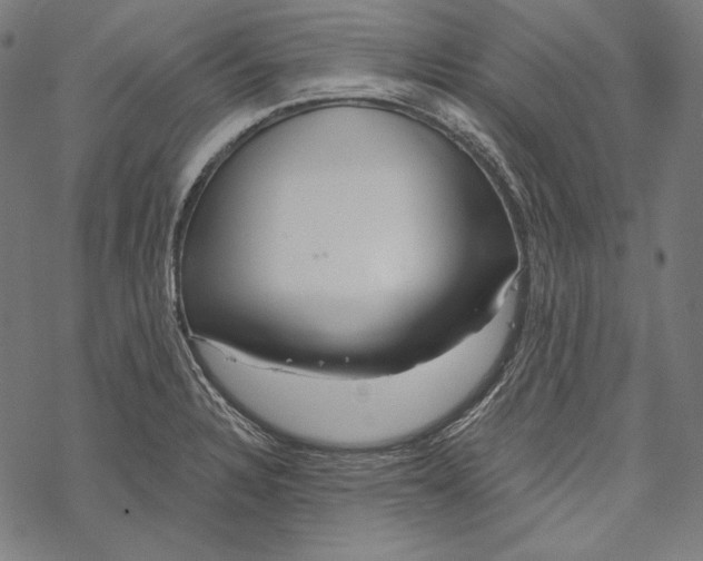 X0000067921328200605041659