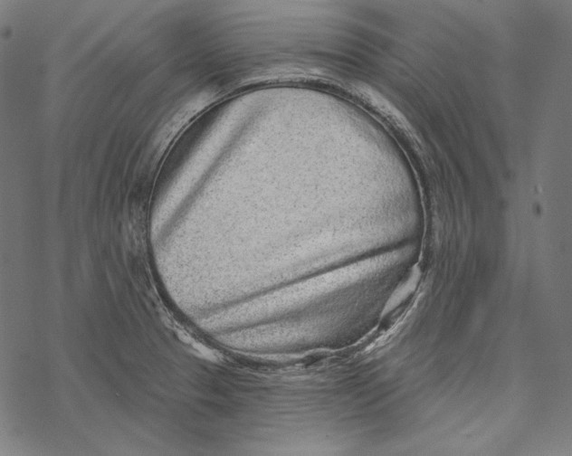 X0000067921329200605041659