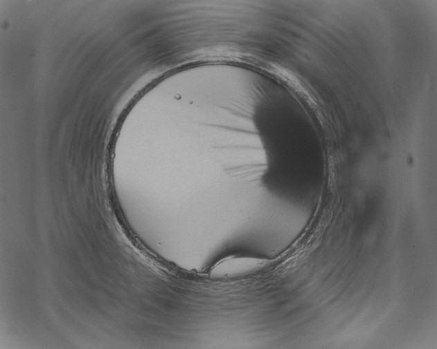 X0000067921331200605041659