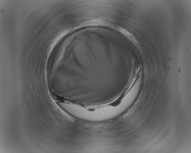 X0000067921334200605041659