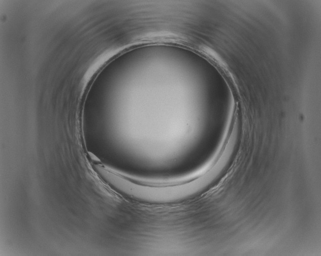 X0000067921336200605041659