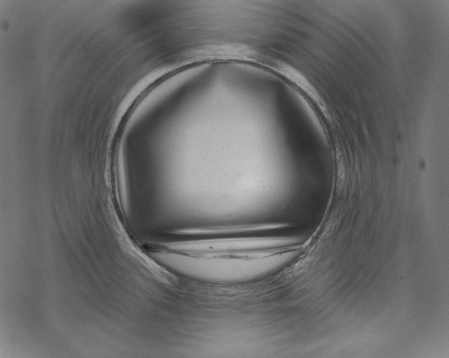 X0000067921339200605041659