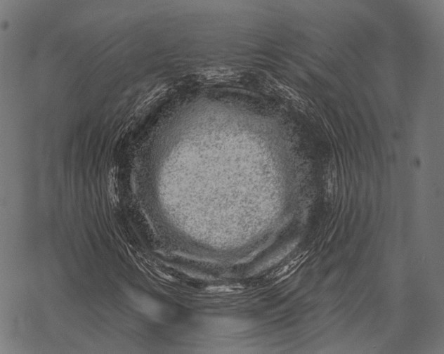 X0000067921346200605041658