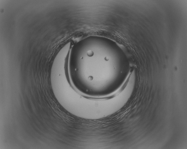 X0000067921348200605041658