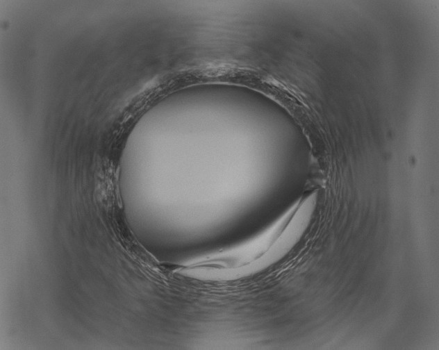 X0000067921349200605041658