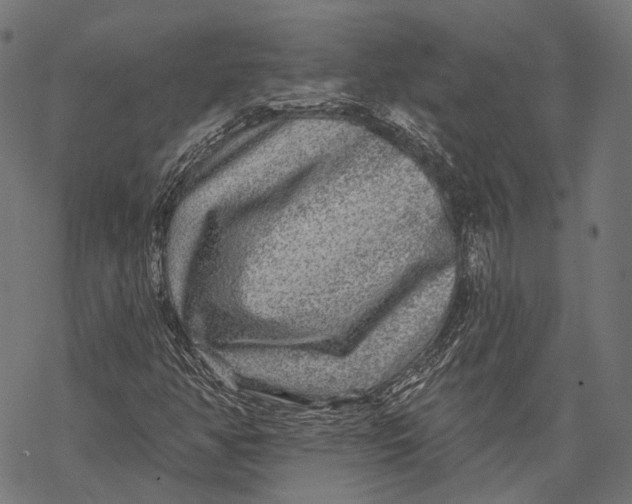 X0000067921350200605041658