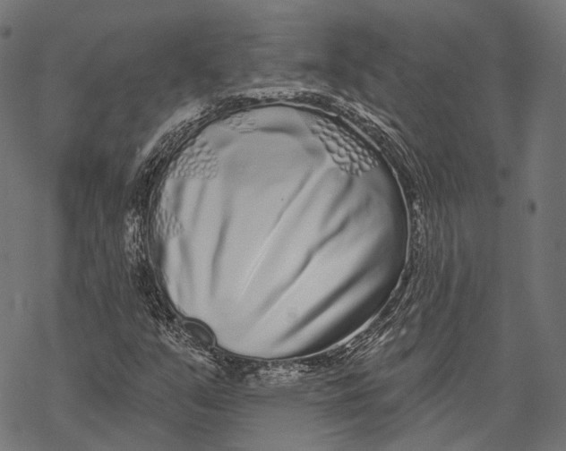 X0000067921351200605041658