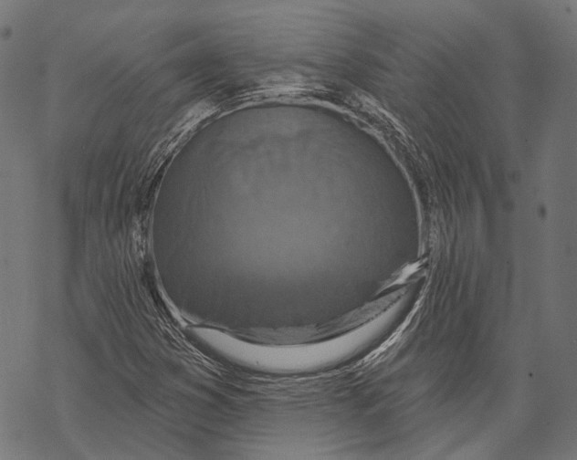 X0000067921353200605041658