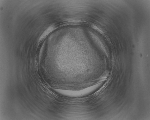 X0000067921354200605041658