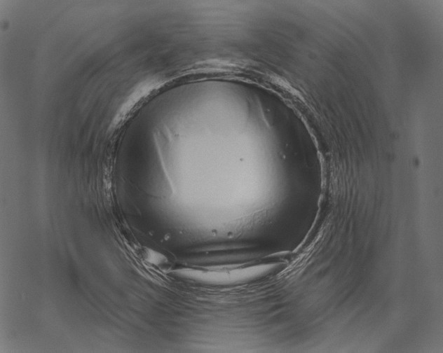 X0000067921355200605041658