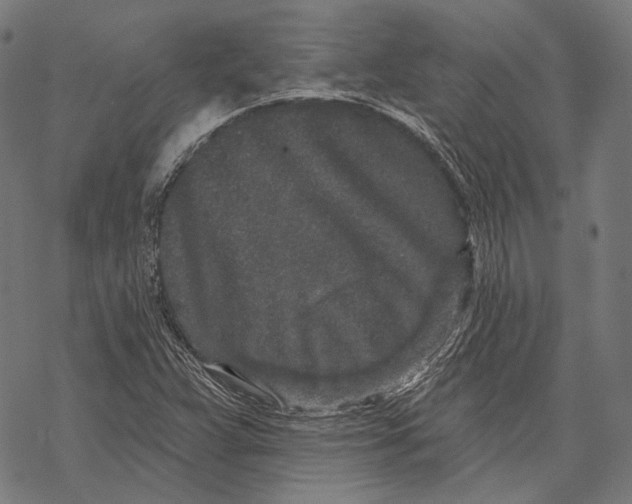 X0000067921359200605041658