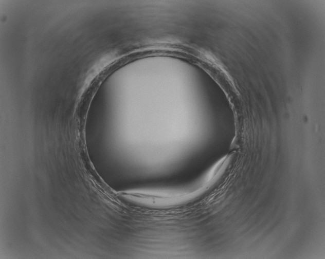 X0000067921360200605041658