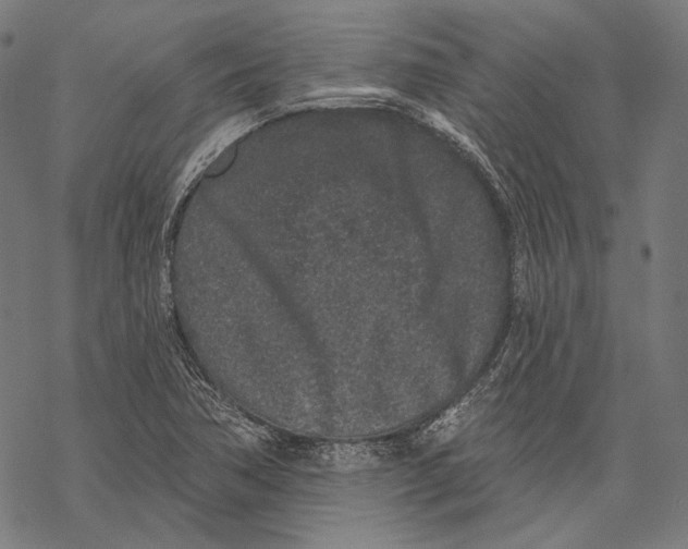 X0000067921362200605041658