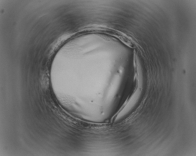 X0000067921363200605041658
