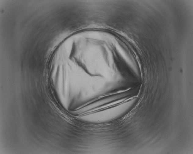X0000067921367200605041658