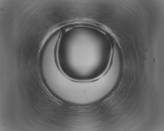 X0000067921368200605041658