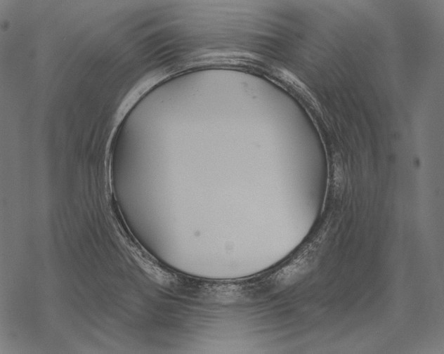 X0000067921370200605041658