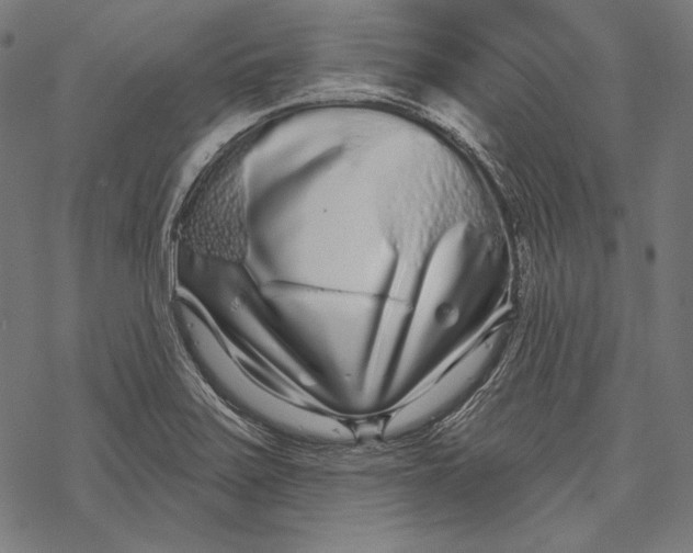 X0000067921371200605041658