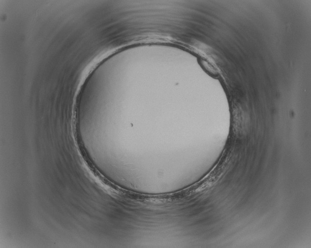 X0000067921379200605041658