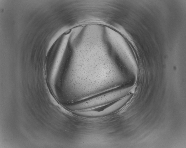 X0000067921390200605041658
