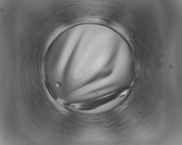X0000067921391200605041658