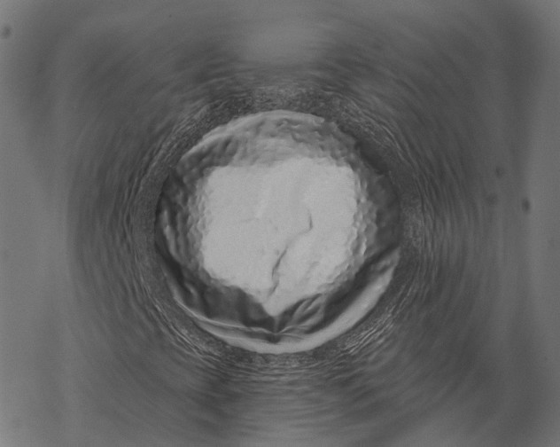 X0000067921393200605041657