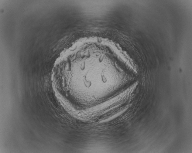 X0000067921397200605041657