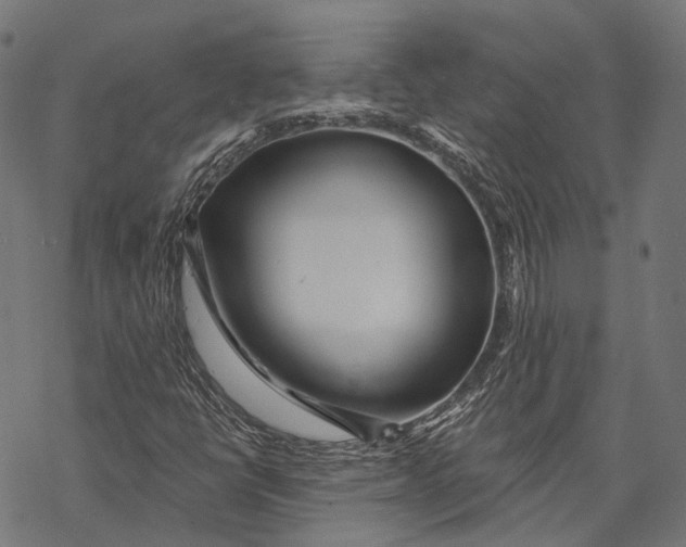 X0000067921398200605041657