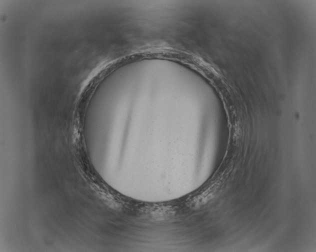 X0000067921400200605041657