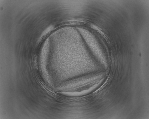 X0000067921403200605041657