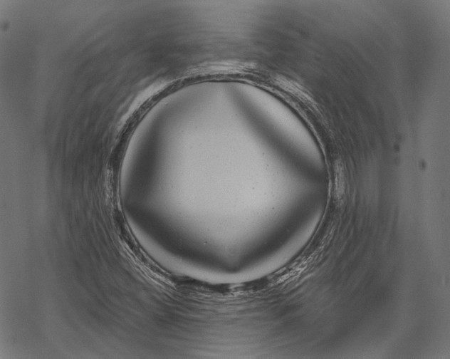 X0000067921404200605041657