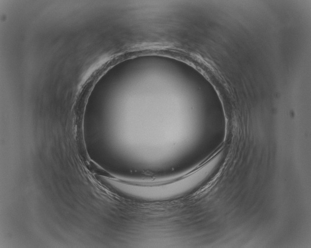 X0000067921406200605041657