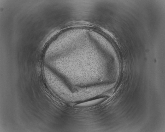 X0000067921407200605041657