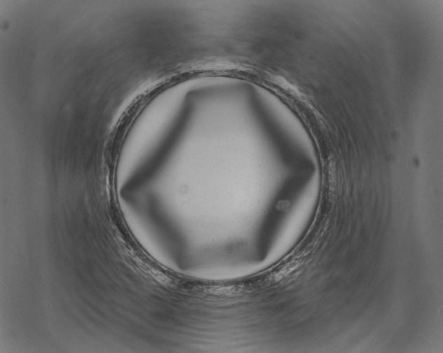 X0000067921408200605041657