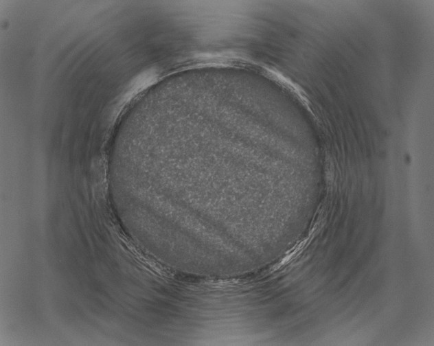 X0000067921411200605041657