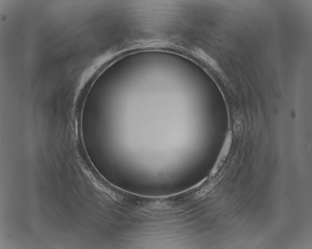 X0000067921414200605041657