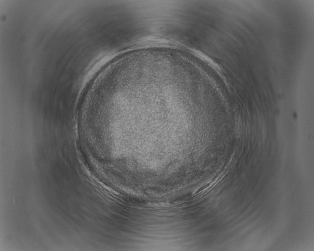 X0000067921415200605041657