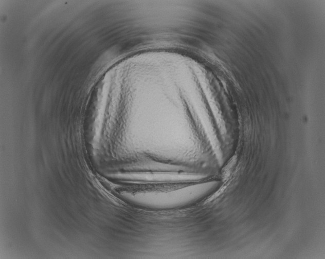 X0000067921417200605041657