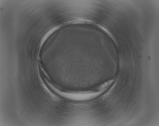 X0000067921418200605041657